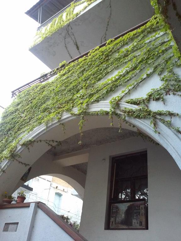 Guest House Marina 트빌리시 외부 사진