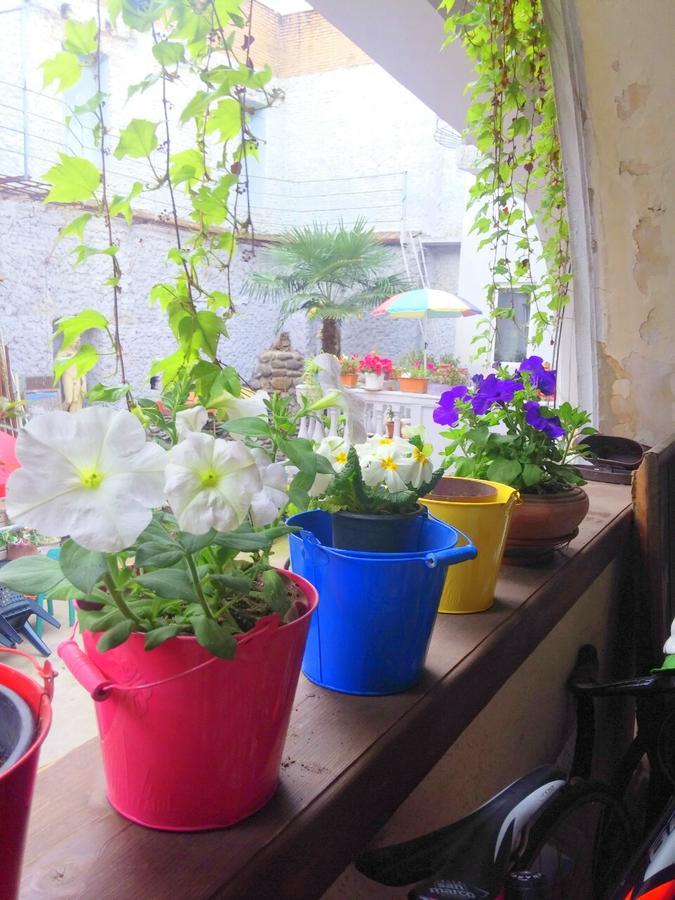 Guest House Marina 트빌리시 외부 사진