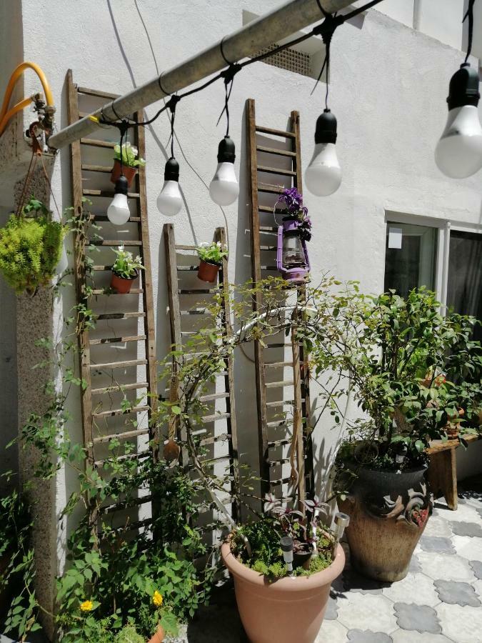 Guest House Marina 트빌리시 외부 사진